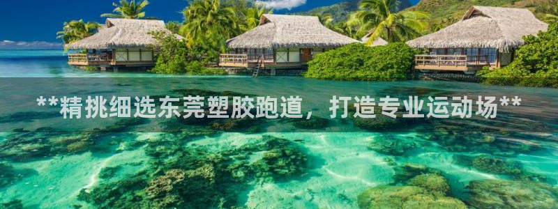红足1世足球网址大全：**精挑细选东莞塑胶跑道，打造专业运动场**