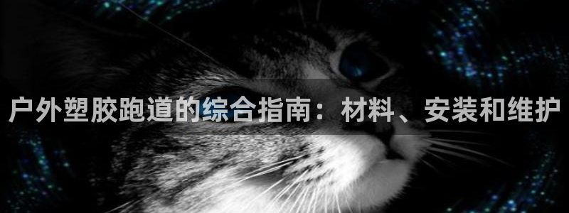 新2足球平台出租网站：户外塑胶跑道的综合指南：材料、安装和维护