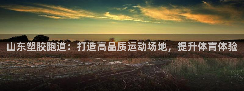 红足一1世手机版新皇冠：山东塑胶跑道：打造高品质运动场地，提升体育体验