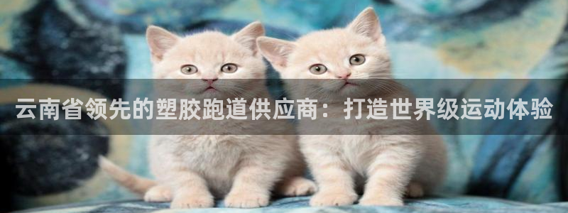 百度红足一1视频在线观看：云南省领先的塑胶跑道供应商：打造世界级运动体验