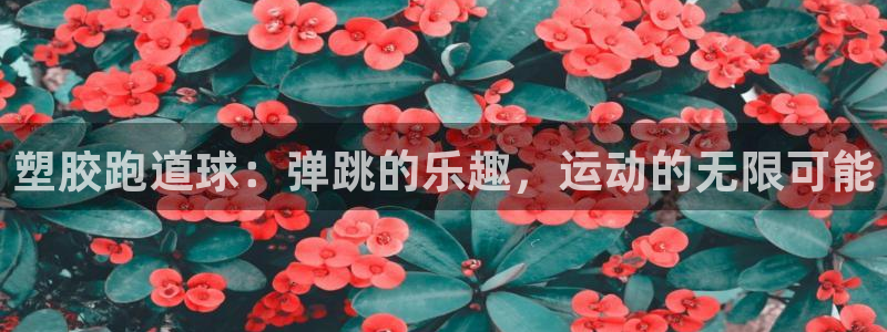 333814红·足一世比分：塑胶跑道球：弹跳的乐趣，运动的无限可能