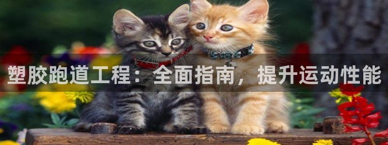 4633333开奖结果4176一点红：塑胶跑道工程：全面指南，提升运动性能
