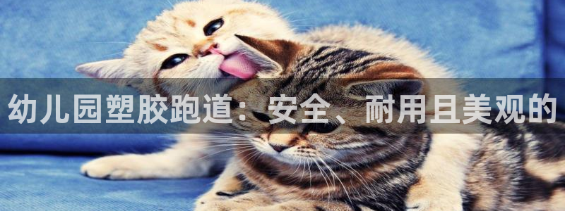 红足1一世红：幼儿园塑胶跑道：安全、耐用且美观的