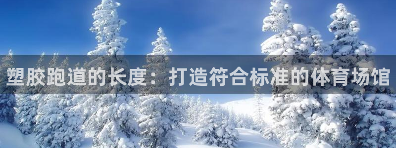 红足一丰：塑胶跑道的长度：打造符合标准的体育场馆