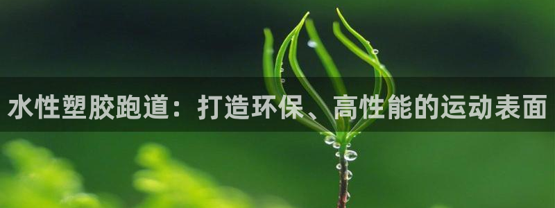 红足1世1站：水性塑胶跑道：打造环保、高性能的运动表面