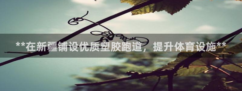 红足一1世官网足球推荐真人：**在新疆铺设优质塑胶跑道，提升体育设施**