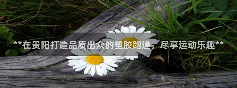 红足一1世手机皇冠：**在贵阳打造品质出众的塑胶跑道，尽享运动乐趣**