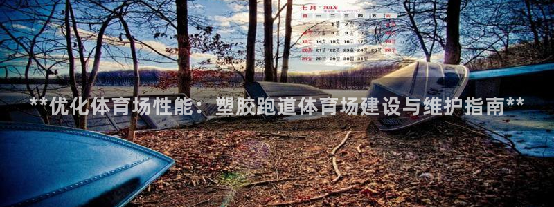 红足1一世足球手机：**优化体育场性能：塑胶跑道体育场建设与维护指南**
