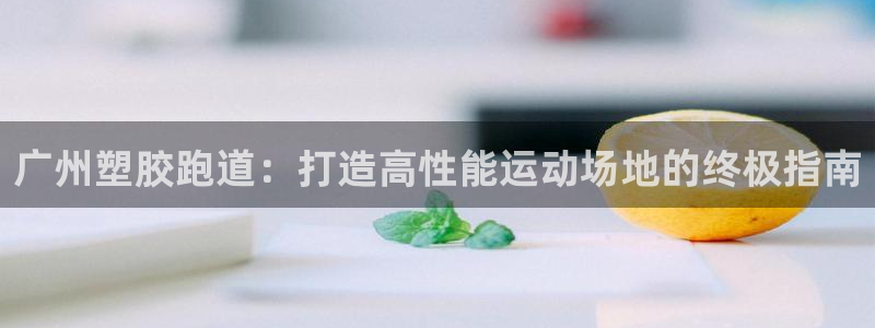 红足一丰：广州塑胶跑道：打造高性能运动场地的终极指南