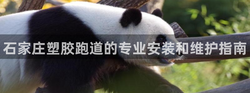 红足1世1站2站管理网：石家庄塑胶跑道的专业安装和维护指南