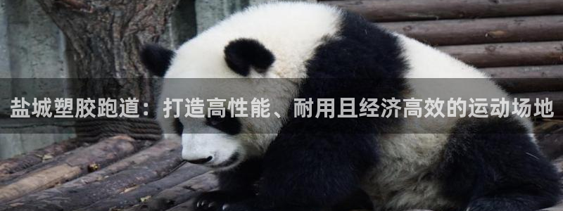 红足1一世 2站：盐城塑胶跑道：打造高性能、耐用且经济高效的运动场地