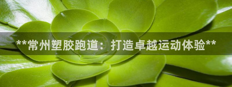 红足一1世比分球探：**常州塑胶跑道：打造卓越运动体验**