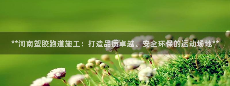 红足一丰：**河南塑胶跑道施工：打造品质卓越、安全环保的运动场地**