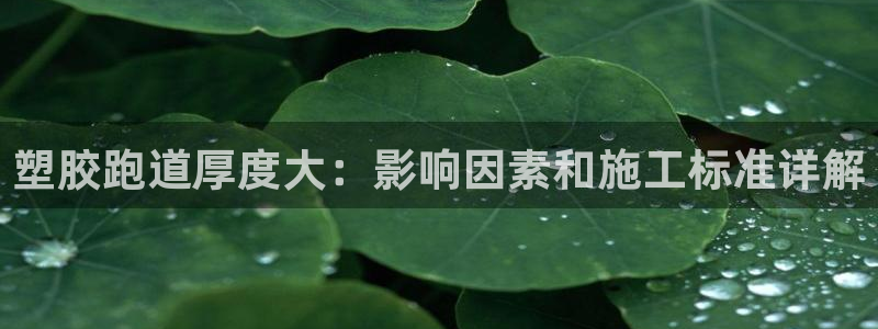 红足一生世：塑胶跑道厚度大：影响因素和施工标准详解