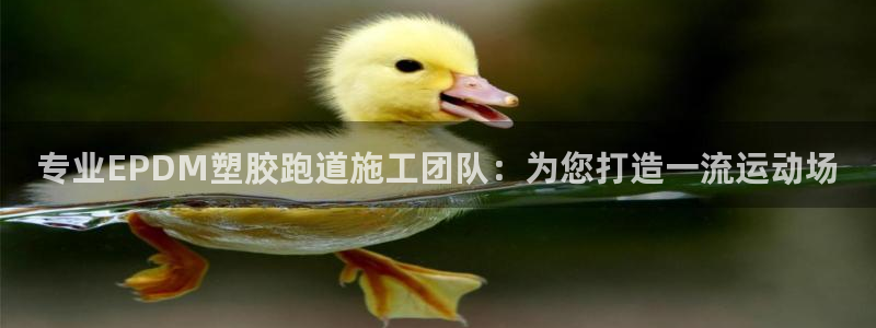 红足一1世比分球探