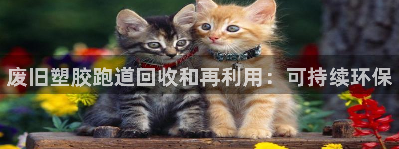 红足一1世手机开奖：废旧塑胶跑道回收和再利用：可持续环保