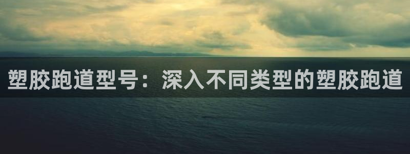 百度红足一1世：塑胶跑道型号：深入不同类型的塑胶跑道