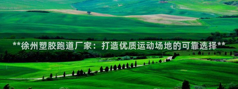 红足一：**徐州塑胶跑道厂家：打造优质运动场地的可靠选择**