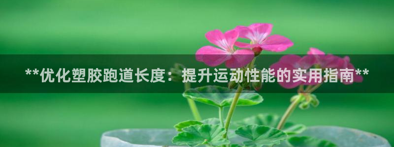 红世一足球比分：**优化塑胶跑道长度：提升运动性能的实用指南**