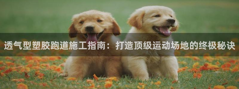 红足一1世手机版赛果：透气型塑胶跑道施工指南：打造顶级运动场地的终极秘诀
