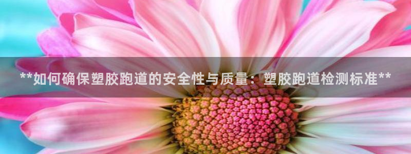 红足一1世66814新宝：**如何确保塑胶跑道的安全性与质量：塑胶跑道检测标准**