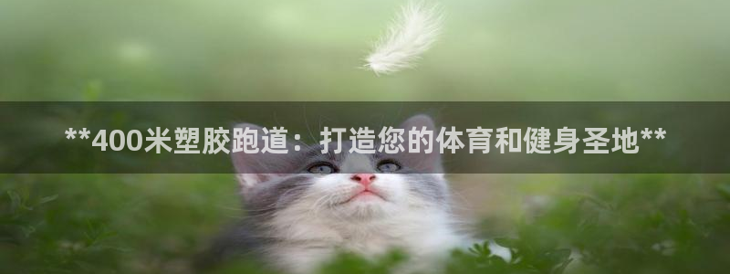 红足一1世手机版新皇冠：**400米塑胶跑道：打造您的体育和健身圣地**