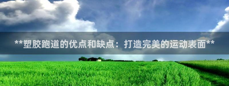 红足一1世比分：**塑胶跑道的优点和缺点：打造完美的运动表面**