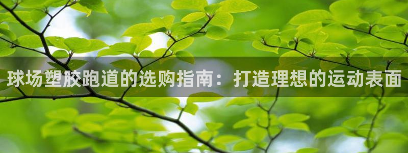 66814红足：球场塑胶跑道的选购指南：打造理想的运动表面