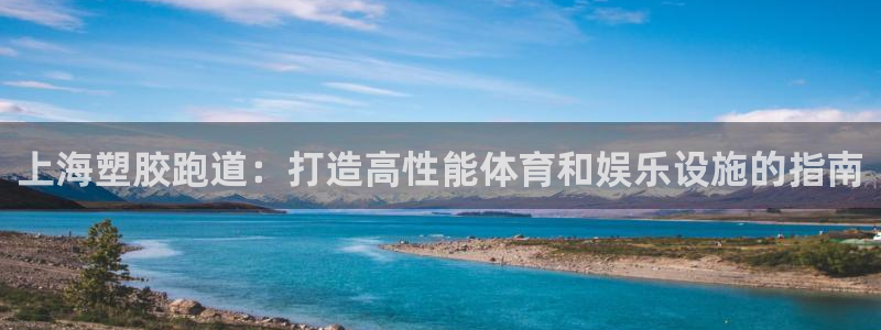 红足一一世：上海塑胶跑道：打造高性能体育和娱乐设施的指南