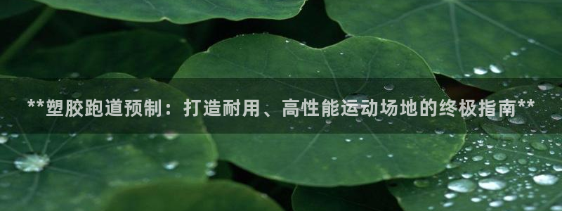 红足 世足球手机网：**塑胶跑道预制：打造耐用、高性能运动场地的终极指南**