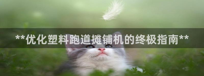 红足1世手足球比分：**优化塑料跑道摊铺机的终极指南**