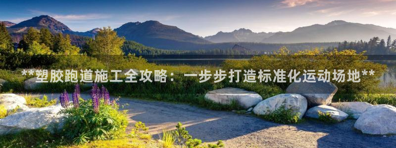 红足一1世77814：**塑胶跑道施工全攻略：一步步打造标准化运动场地**