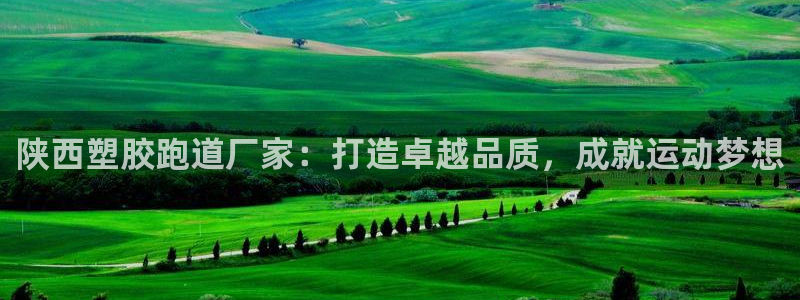 百度红足一1是什么样子的：陕西塑胶跑道厂家：打造卓越品质，成就运动梦想