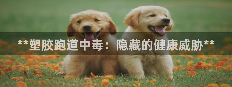 红足1世开奖预测