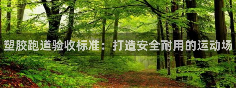 红足1世足球：塑胶跑道验收标准：打造安全耐用的运动场