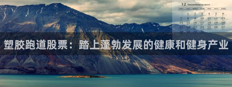 红足一一世：塑胶跑道股票：踏上蓬勃发展的健康和健身产业