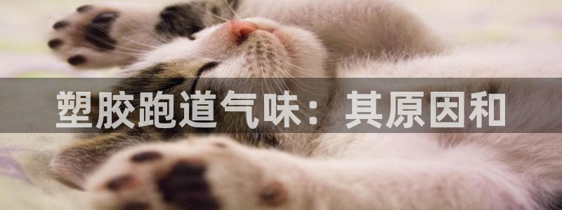 红足1一世 2站：塑胶跑道气味：其原因和