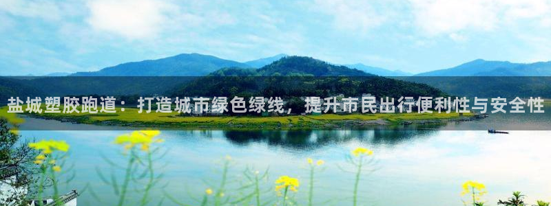 红足一1世66814新宝：盐城塑胶跑道：打造城市绿色绿线，提升市民出行便利性与安全性