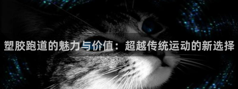 新2足球平台出租网站：塑胶跑道的魅力与价值：超越传统运动的新选择