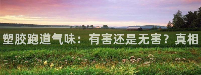红足一球：塑胶跑道气味：有害还是无害？真相