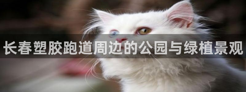 红足1世手机板：长春塑胶跑道周边的公园与绿植景观