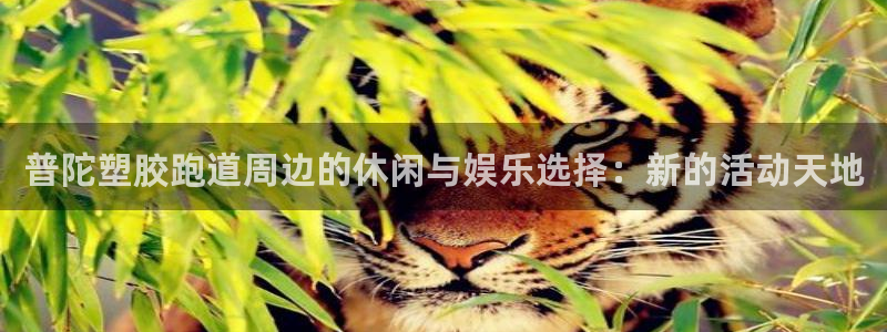 44814红足：普陀塑胶跑道周边的休闲与娱乐选择：新的活动天地