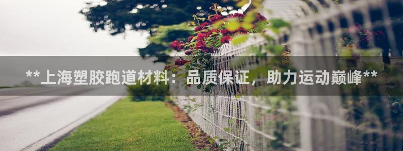 红足一1世66814新宝：**上海塑胶跑道材料：品质保证，助力运动巅峰**