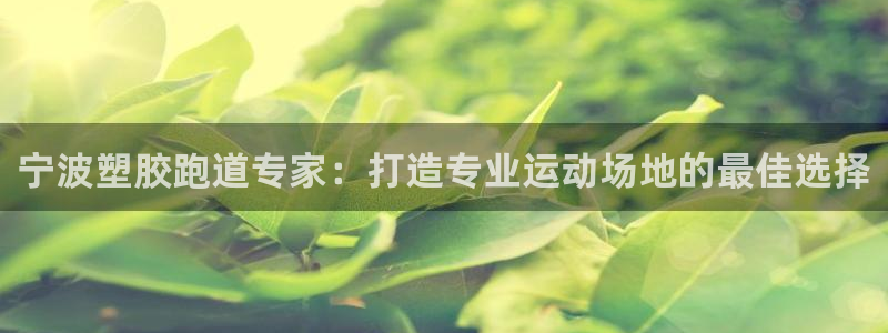 红世一足球比分：宁波塑胶跑道专家：打造专业运动场地的最佳选择
