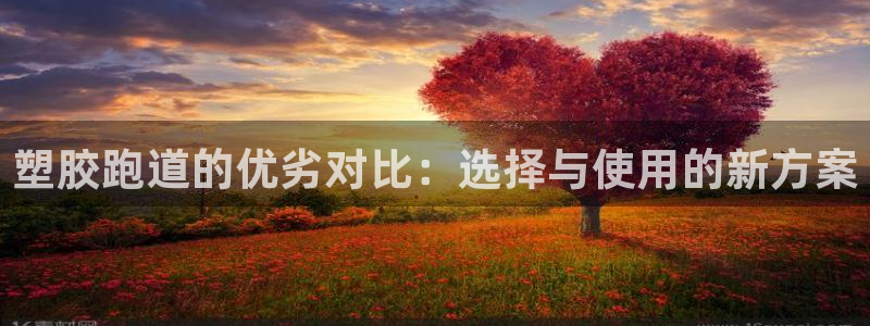 红足1一世：塑胶跑道的优劣对比：选择与使用的新方案