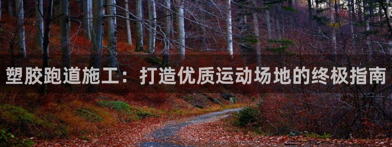 红足1一世 2站：塑胶跑道施工：打造优质运动场地的终极指南