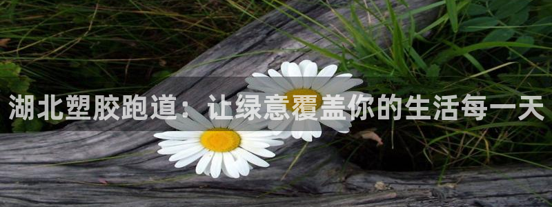 百度红足一1世：湖北塑胶跑道：让绿意覆盖你的生活每一天