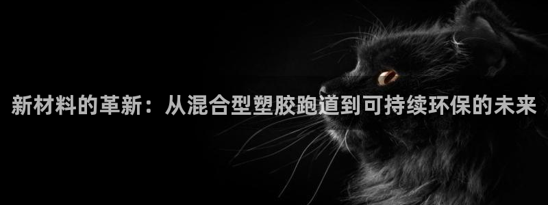 百度红足一1世：新材料的革新：从混合型塑胶跑道到可持续环保的未来