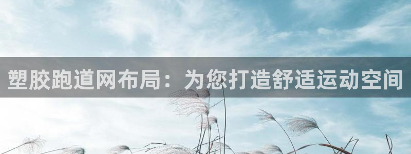 红足1一世：塑胶跑道网布局：为您打造舒适运动空间