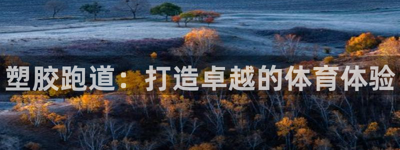 红足一1世平台：塑胶跑道：打造卓越的体育体验
